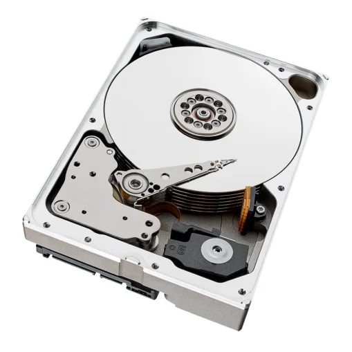 Seagate Skyhawk Festplatte 10TB